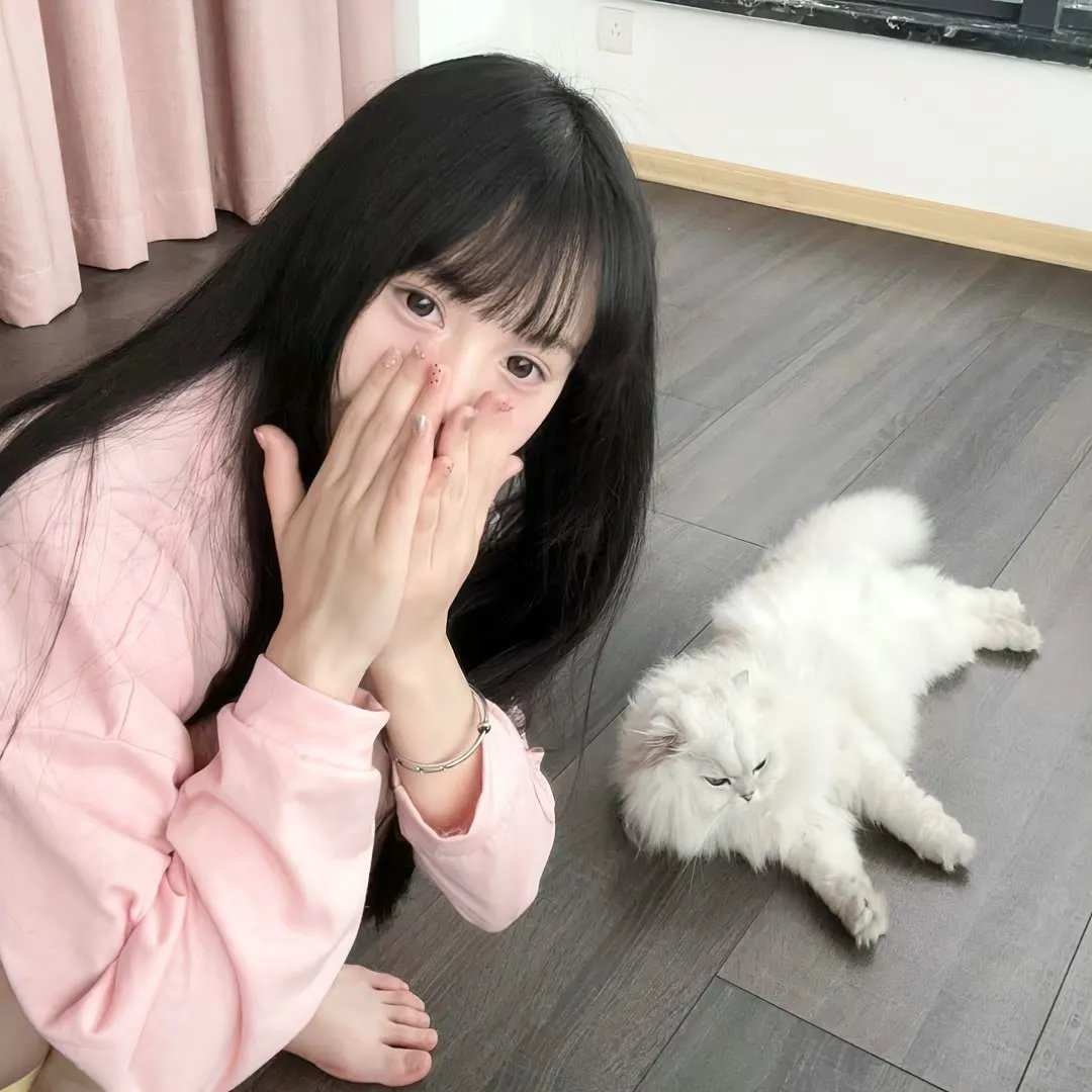 派遣占卜师中
